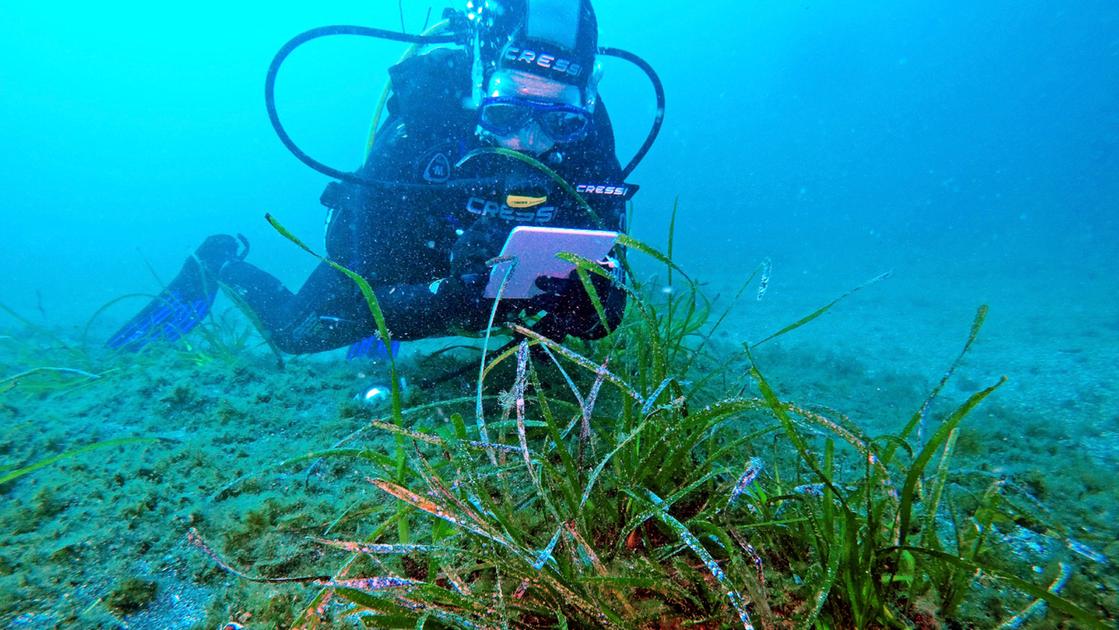 Sott’acqua nello da Lanazione