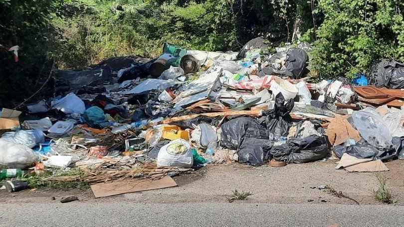 I sacchi dei rifiuti depositato lungo via Marinella, strada che collega l’Aurelia al mare tagliando i territori dei Comuni di Sarzana e Luni