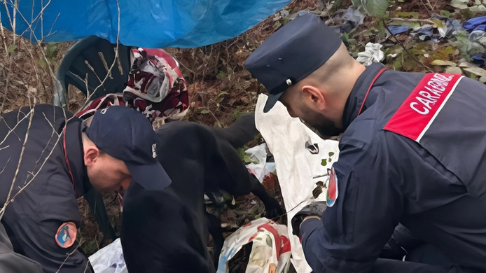 Uno dei bivacchi smantellati durante uno dei controlli dell’Arma nei boschi delle Cerbaie (Foto di repertorio)