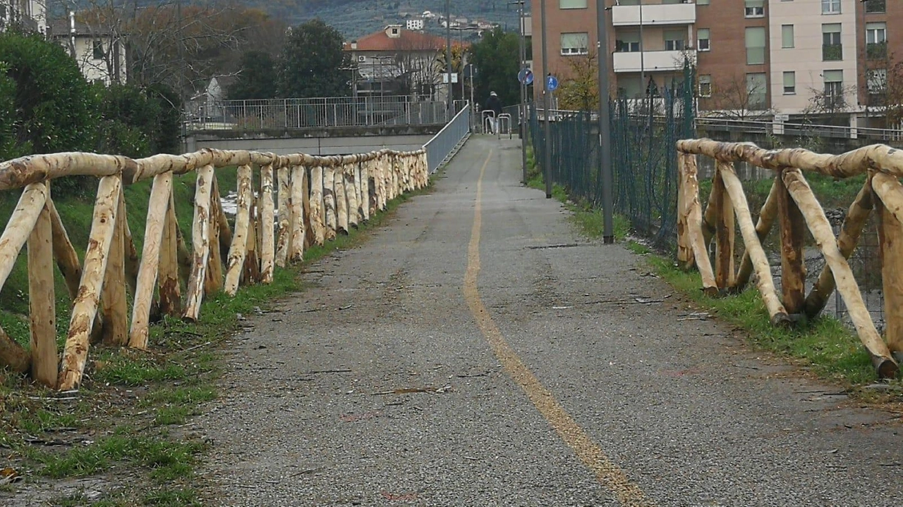 "I lavori sono ormai prossimi alla chiusura. Con questo intervento, saranno rinnovate le staccionate dei principali percorsi ciclabili cittadini". Il...