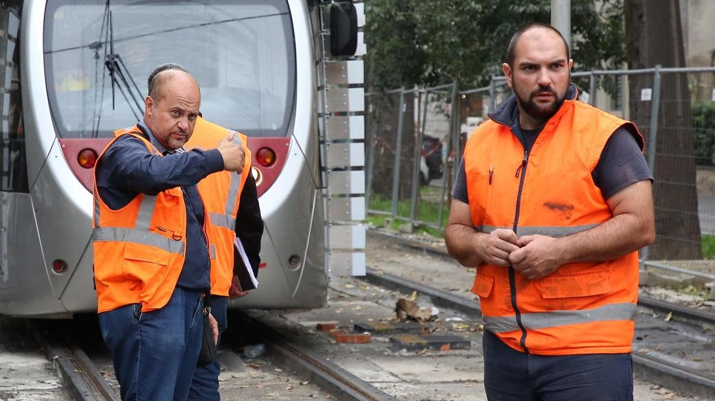 Esposto in procura a Firenze per verificare la legittimità del piano abbattimenti legato alle nuove tramvie per Bagno a Ripoli. Cittadini denunciano presunto danno ambientale e mancanza di partecipazione.