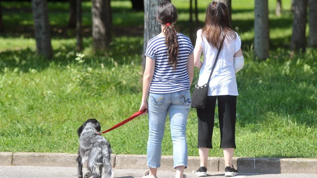 Il cane attaccato era di piccola taglia