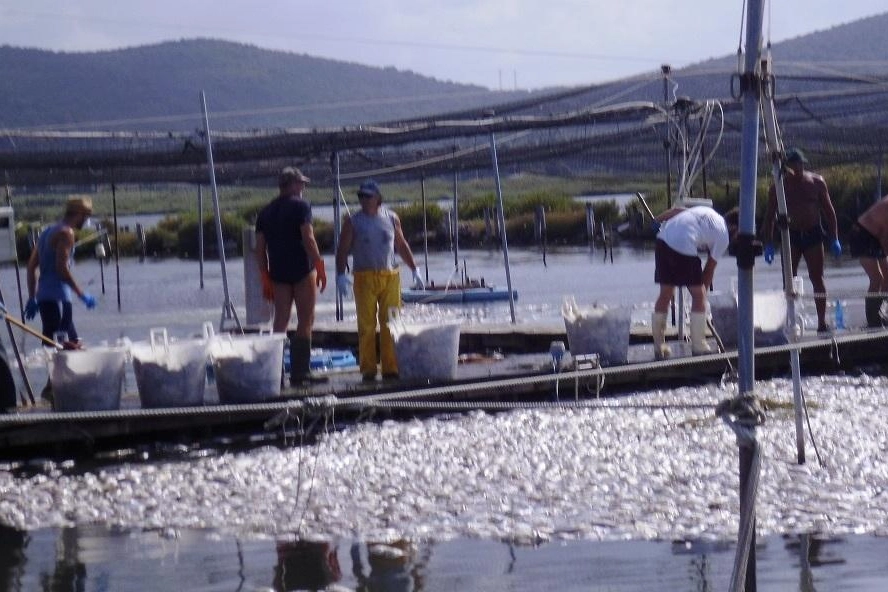 La conta dei danni nella laguna di Orbetello. La situazione resta grave