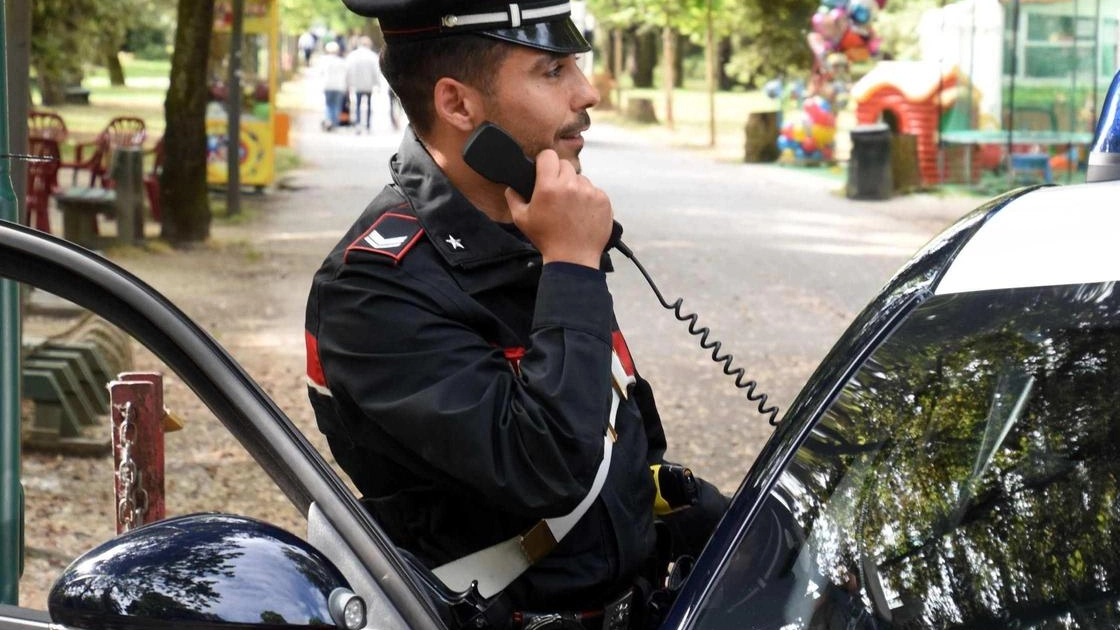 I carabinieri di Viareggio hanno sgominato il traffico partendo da un’indagine locale