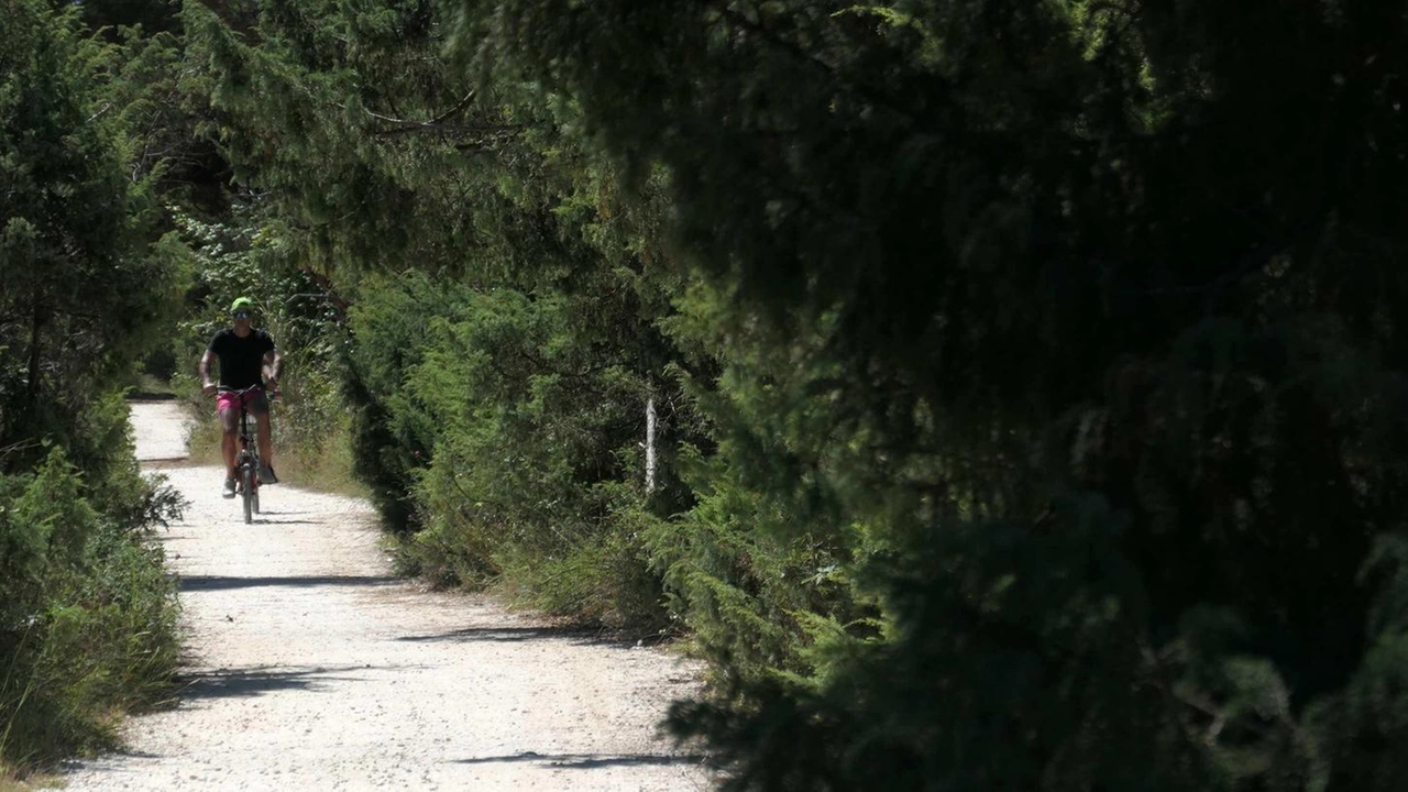 In via Trittico un ragazzo nella furia di una lite ha preso a pugni una donna e danneggiato due auto. Rissa tra due gruppi di giovani sul lungomare: turisti dell’entroterra feriti a cinghiate sono finiti in ospedale.