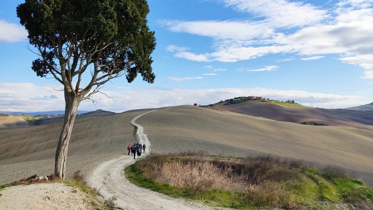 La Via di Francesco