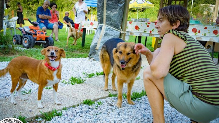 L’associazione di Pietrasanta ha promosso un’iniziativa sulla "consapevolezza". Bertolozzi: "Ogni cane che torna al rifugio è una sconfitta, ma se trovano casa rinascono".