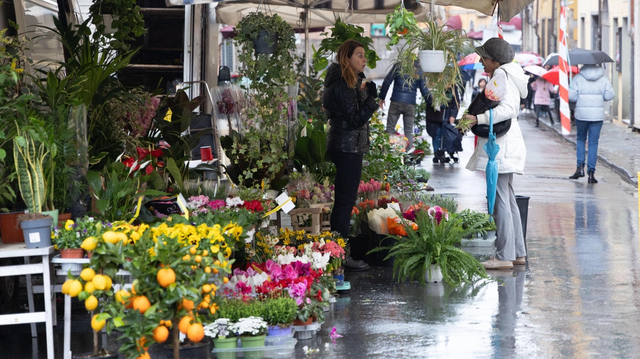 Polemiche sul trasferimento del mercato storico di via San Martino in piazza Toniolo. I commercianti della zona hanno lanciato una petizione