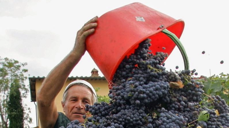 Vino simbolo dell’italianità