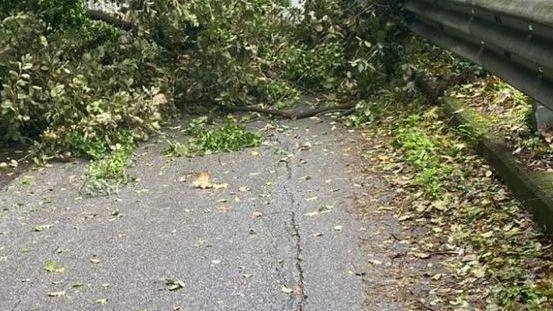 La frana che si è abbattuta sulla carreggiata che conduce al paese di Gragnana prontamente rimossa