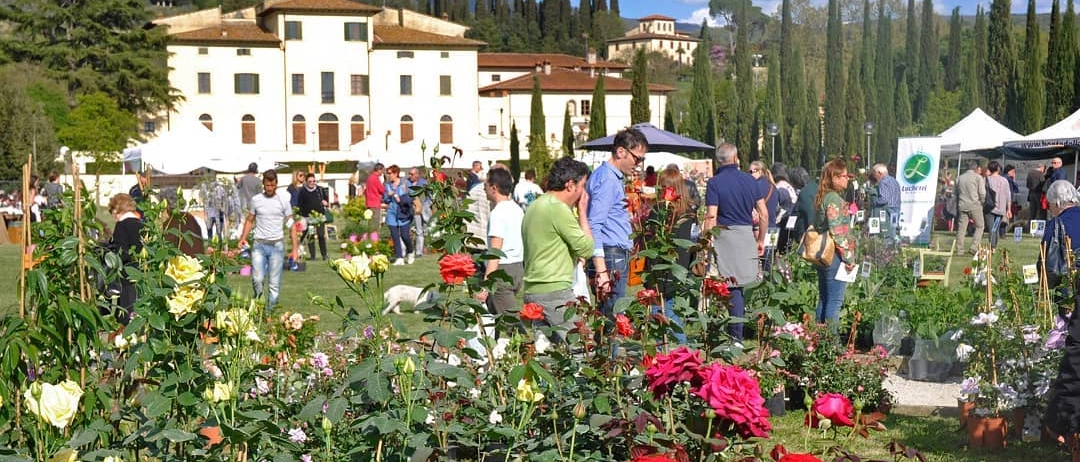 Parcheggio nell’area comunale a Villa Severi, la variante al piano operativo