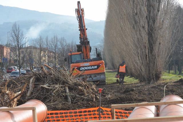 Stop al taglio degli alberi: la protesta dei residenti frena i lavori sul Castro