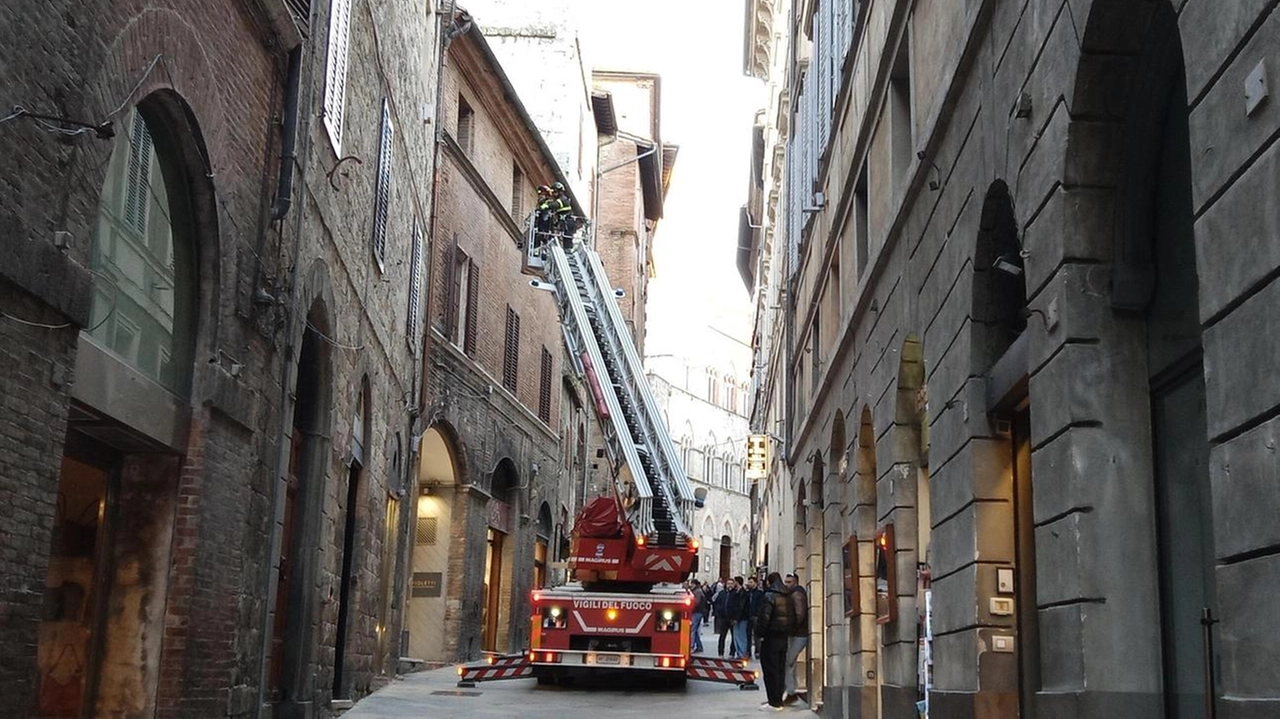 E’ accaduto nel primo pomeriggio di ieri. Intervenuta anche la Municipale