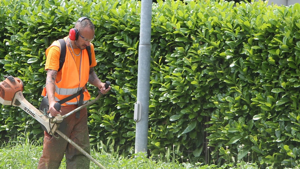 Proposte di lavoro pubblicate al Centro per l'impiego di La Spezia: autisti camion, impiegato, operai agricoli e operaio ecologico cercati per diverse aziende. Info e candidature sul sito della Regione Liguria.