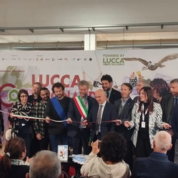 Lucca Collezionando al via, il programma di iniziative