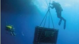 Il vino prodotto in mare a 50 metri di profondità dalle Cantine Federici