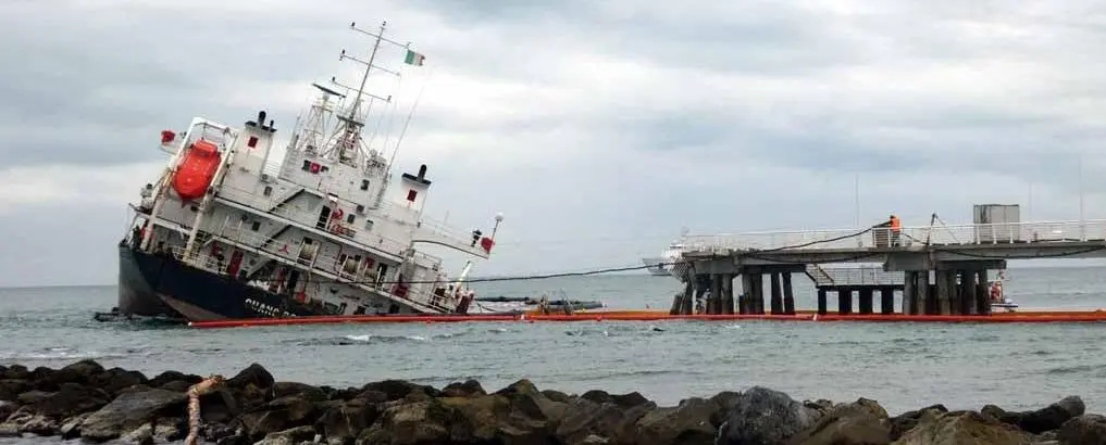 Affondo degli ambientalisti: "Nostro contributo ignorato"