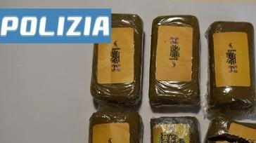 La Polizia di Stato di Lucca ha arrestato un cittadino marocchino di 26 anni per spaccio, dopo un inseguimento concluso...