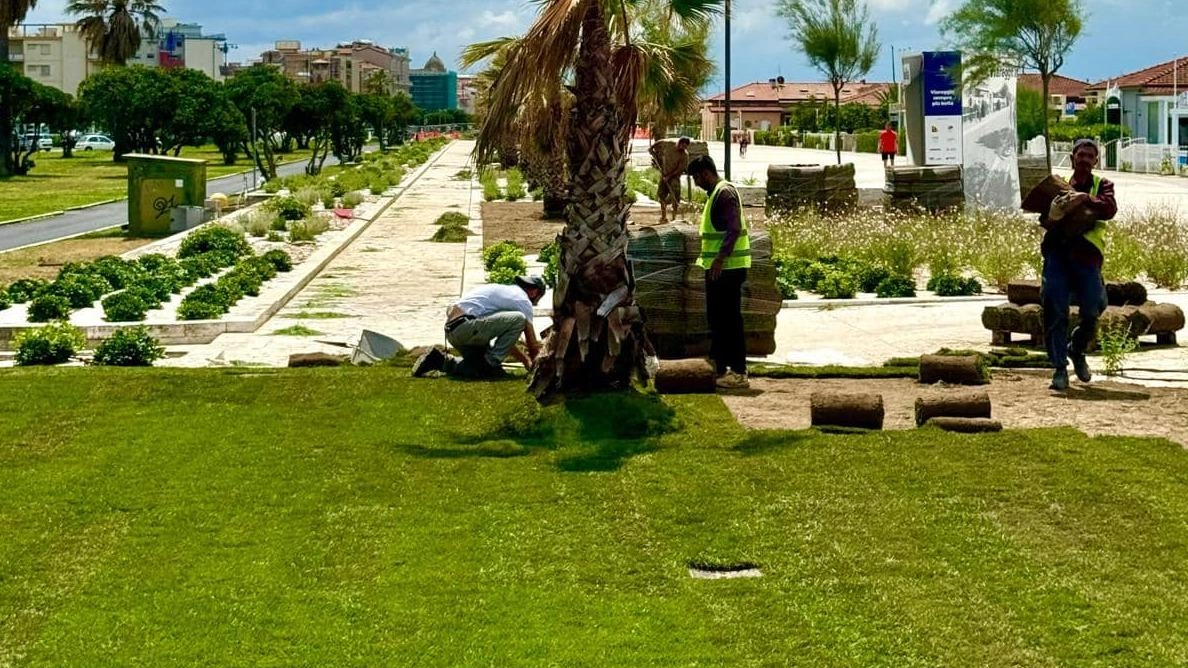 Terrazza della Repubblica. Stesa l’erba sulle aiuole e svolta per piazza Zara