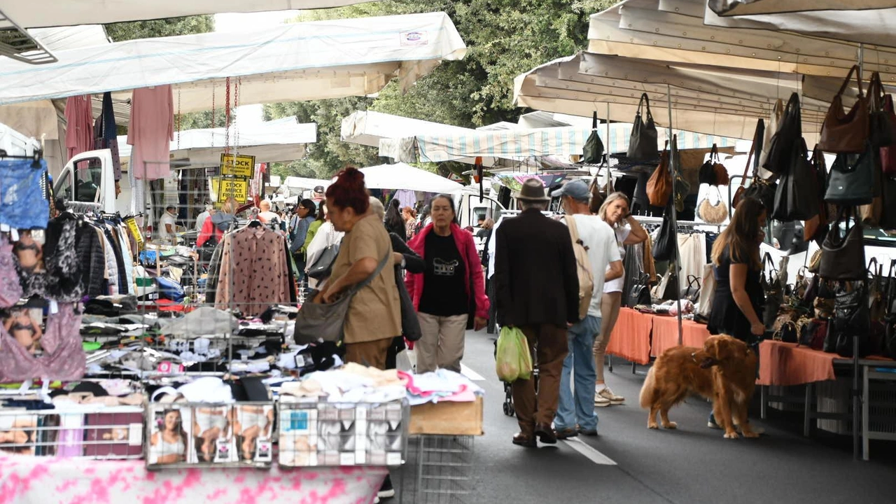 La nuova collocazione del mercato sul viale Roma a Massa (Foto di Paola Nizza)