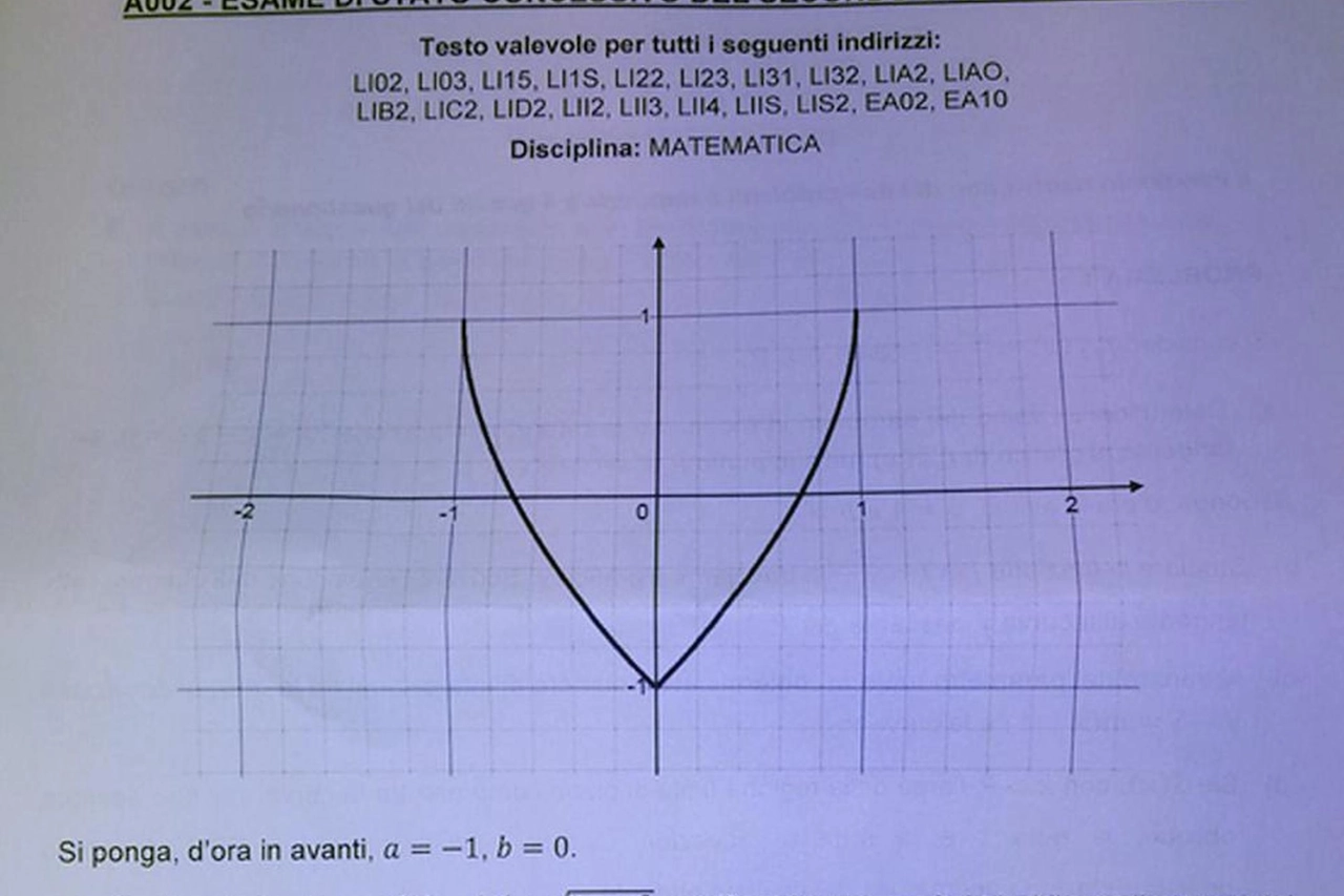 Due problemi e otto quesiti per la seconda prova scritta del liceo scientifico (Ansa)