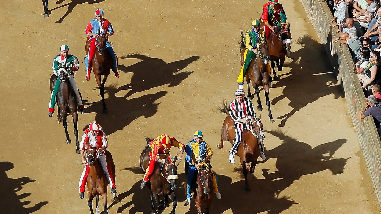 Fantini, cavalli, fondo della pista: Siena all’avanguardia ma il decreto va studiato (Foto Lazzeroni)