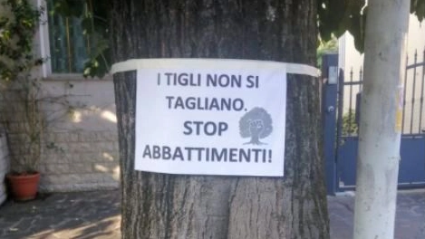 Uno dei cartelli apparsi sugli alberi