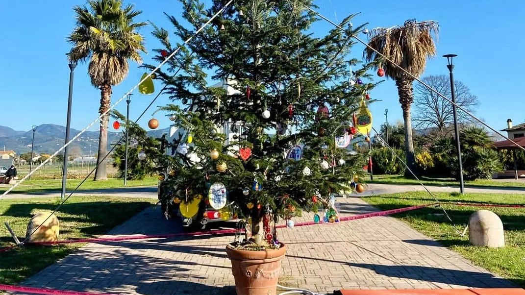 Natale a Viareggio: mercati e piazze si animano con prodotti locali e tradizioni. Eventi e iniziative per celebrare la festa in comunità.