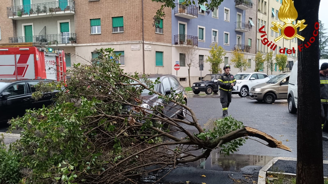 Numerosi interventi dei vigili del fuoco