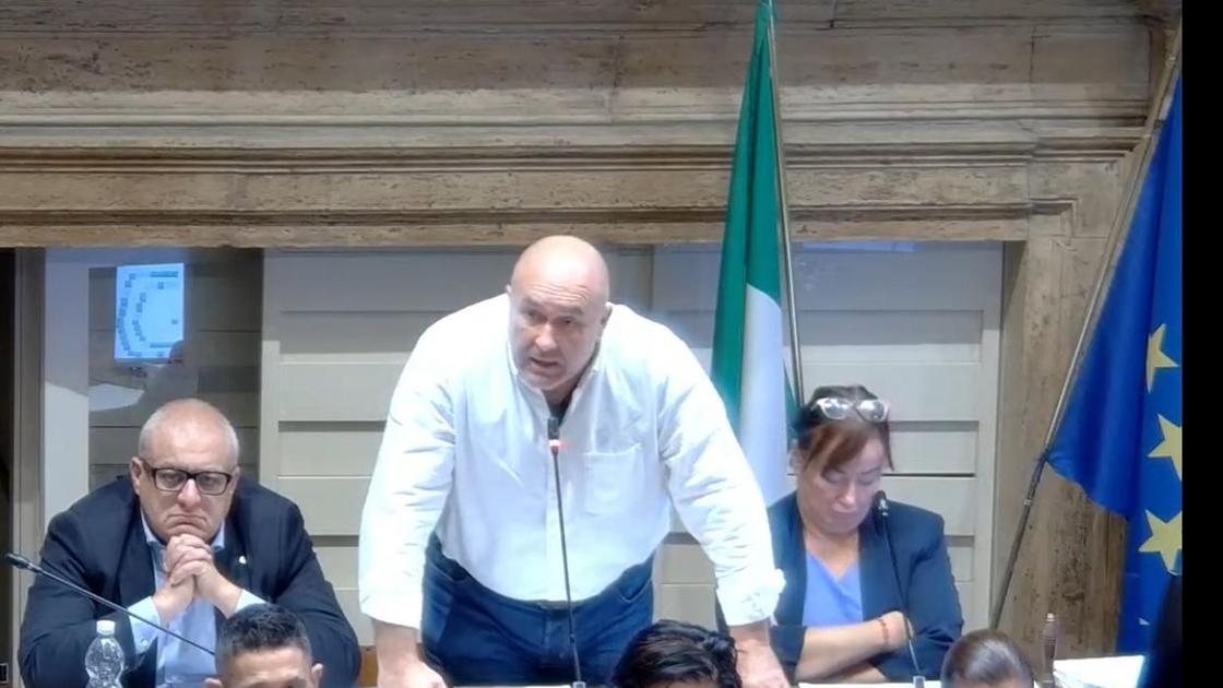 La “legge“ del sindaco Bandecchi: "Solo i cani piccoli senza museruola"