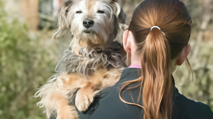 Cibo gratis per un anno a chi adotta un cane o gatto anziano entro il 31 gennaio. E’ questa l’iniziativa...