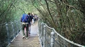 Un pomeriggio di pulizia e decoro nella Riserva Naturale del Lago di Sibolla. Domani dalle 14.30 alle 16.30, si terrà...