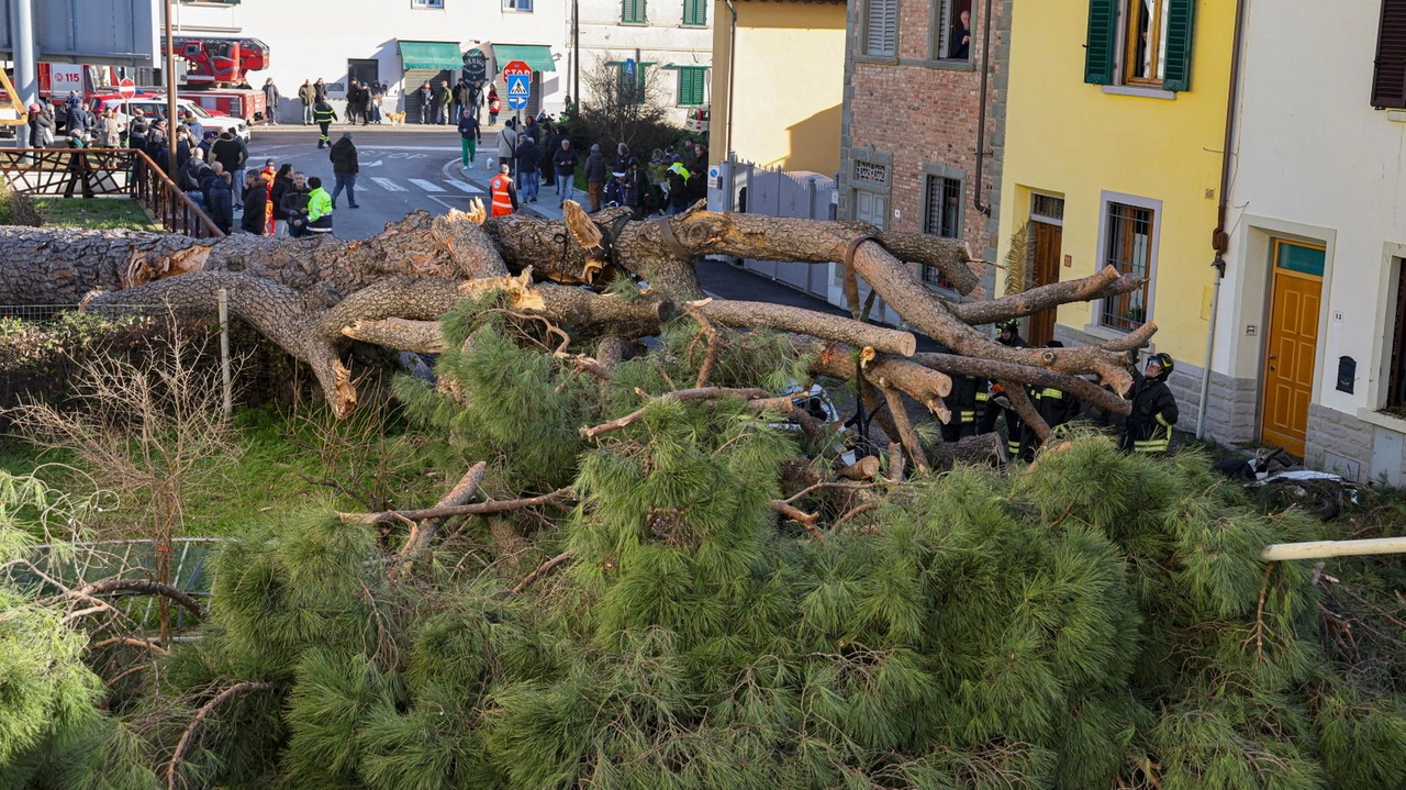 Il cedimento nella prima mattina, fortunatamente non coinvolte persone. La sindaca Sereni: "Nel controllo di dicembre 2023 nessuna problematica".