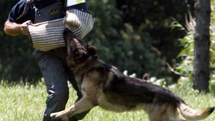 Un addestramento dei carabinieri