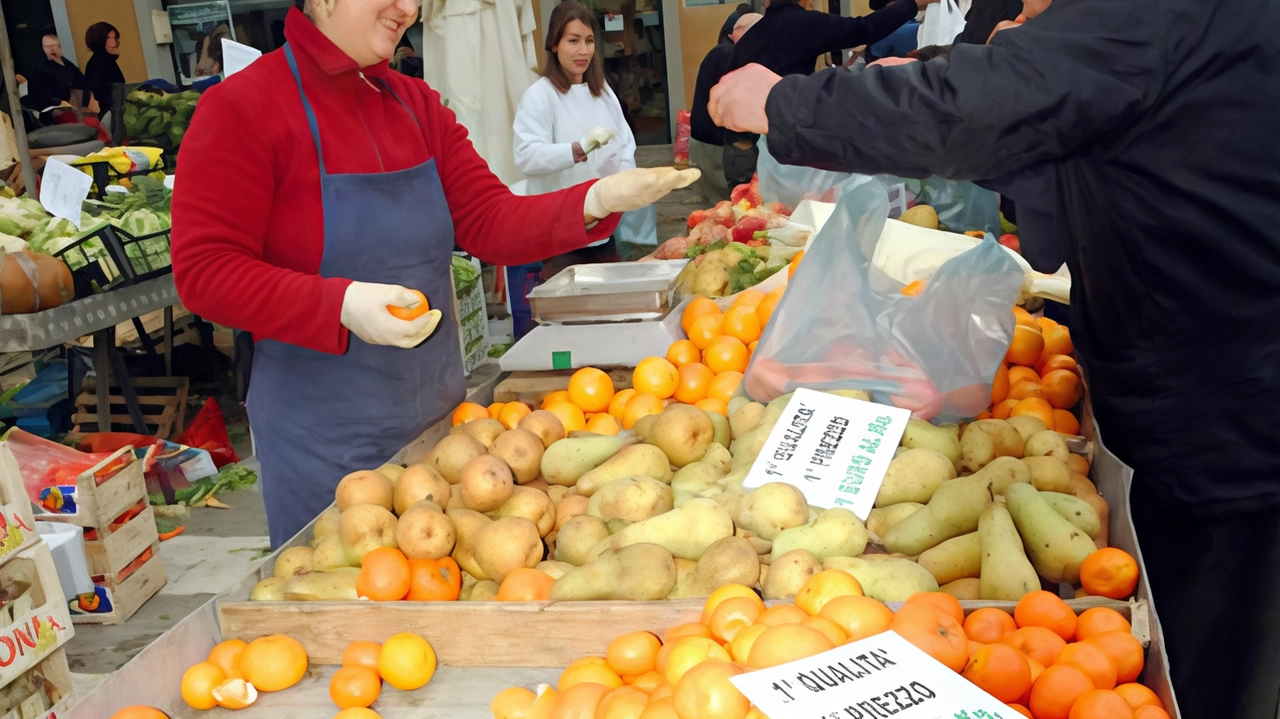 Gli agrumi, vero toccasana per la nostra salute, specie in inverno