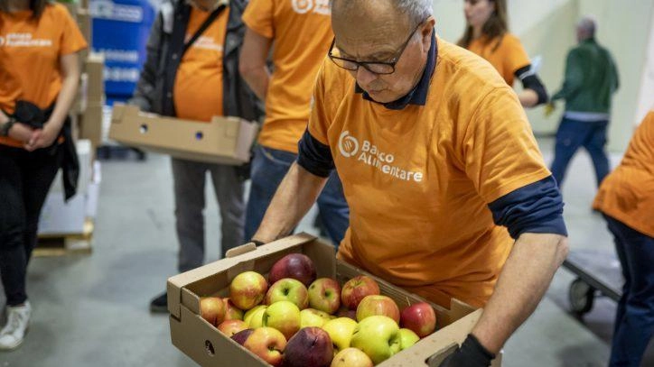 Colletta alimentare. La raccolta oggi anche  nei negozi Carrefour