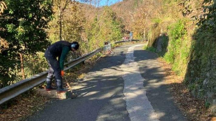 Un piano di messa in sicurezza per la strada di Bergiola franata