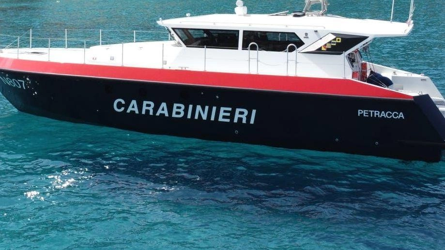 Carabinieri Biodiversità a Montecristo per studiare i grandi lecci secolari