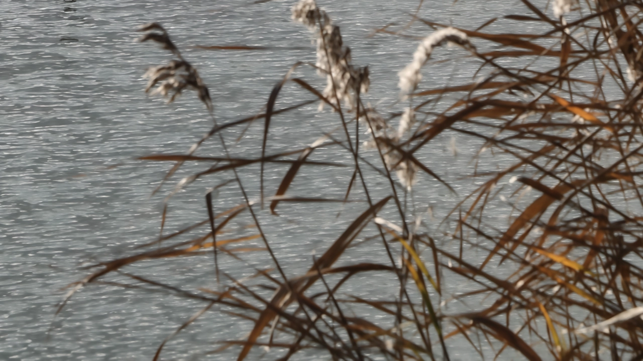 La carenza d’acqua affligge da anni il lago Trasimeno creando non poche conseguenze