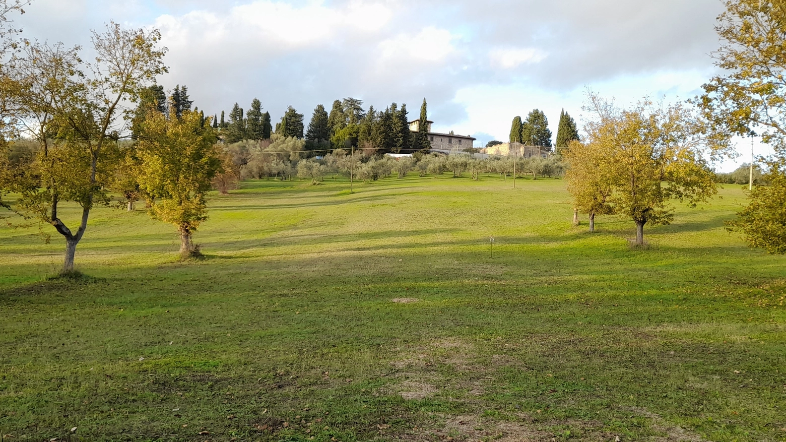 L'area di Rimezzano dove è previsto l'ampliamento della scuola internazionale