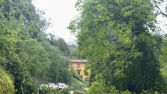 Franato un muro a Brucciano (Molazzana. ); albero caduto lungo la strada Barga-Tiglio (foto Borghesi)