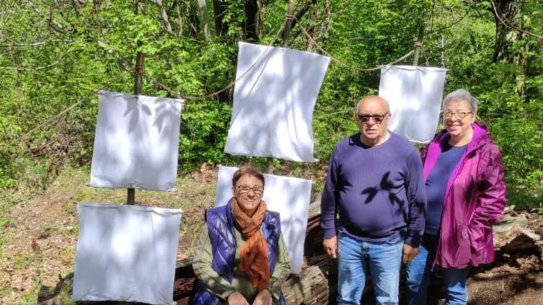 A Jera, Bagnone, il bosco delle meraviglie, creato da volontari, offre una magica esperienza tra castagni e torrenti. Martedì 13, gnomi e folletti terranno una festa notturna per grandi e piccini. Un'occasione per sognare e scoprire i borghi incantati del bagnonese.