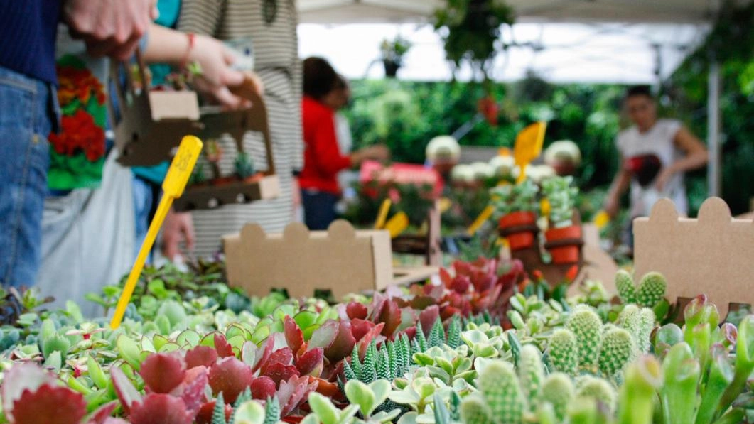 ’Siena in fiore’, mostra mercato di primavera a San Prospero