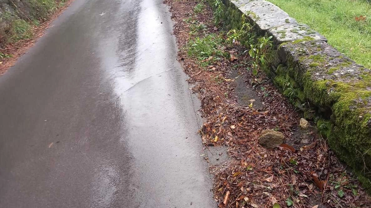 Alcuni lettori hanno segnalato la scarsa manutenzione del Viale della Rimembranza a Castelnuovo, la strada a senso unico che dal...