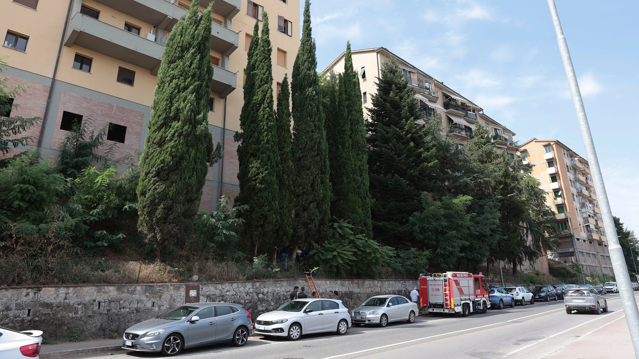 Il palazzo da cui è precipitata la pensionata