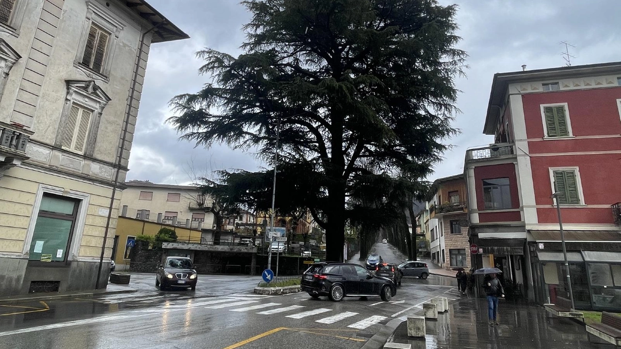 Il Comune ha effettuato ieri alcune prove per valutare lo stato di salute del Cedro, che si trova proprio nel cuore di Barga Giardino