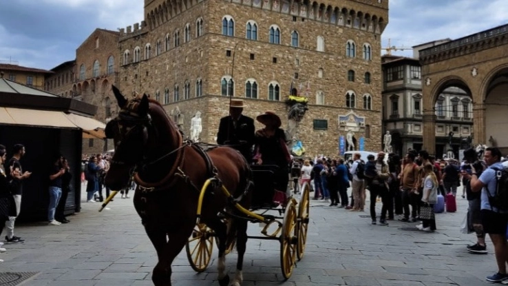 Carrozza 