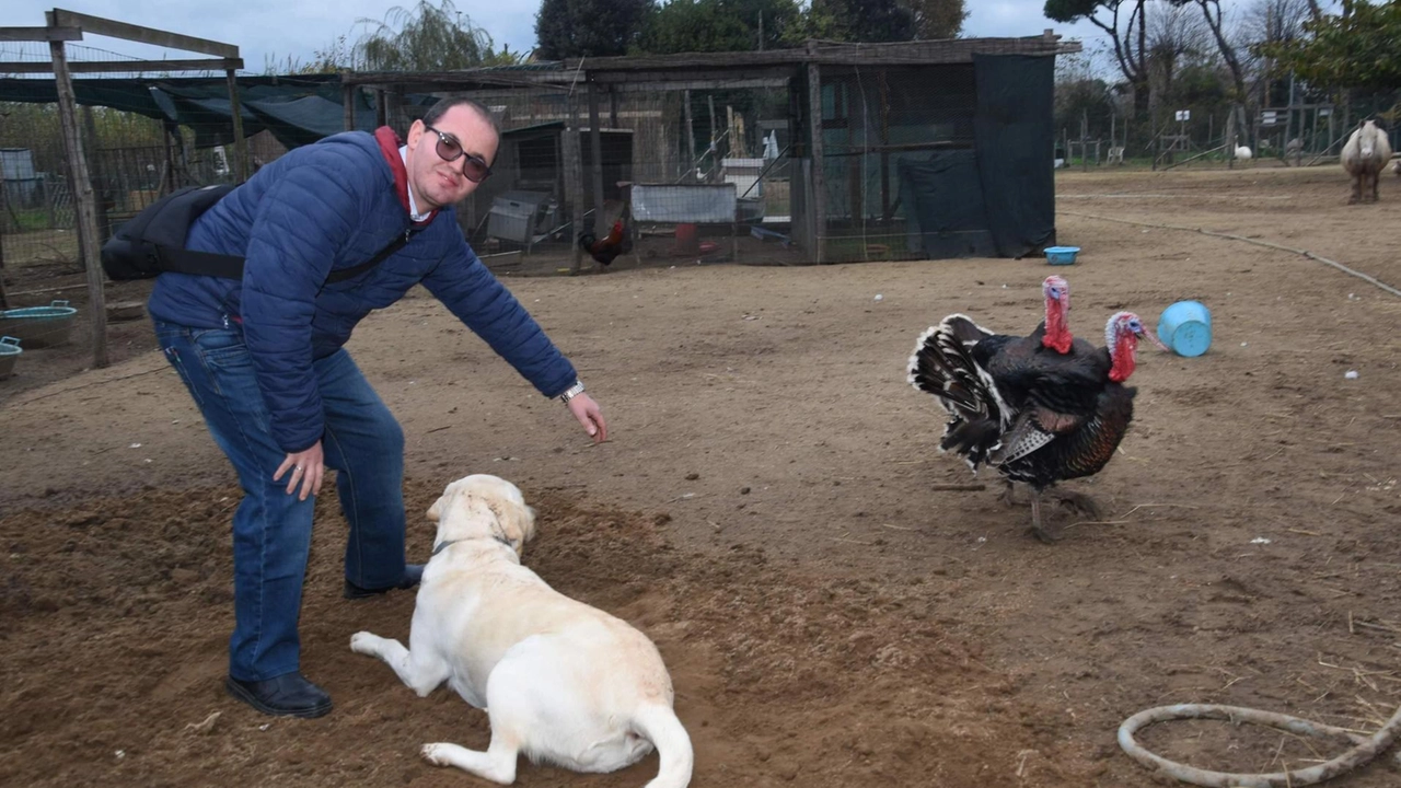 Il ’Campo’ con la fattoria e gli oltre 90 animali dove si svolgono le attività della Casa Famiglia