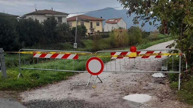 La strada di Via della Figuretta a Pisa è in condizioni critiche, impedendo l'accesso al rifugio per gatti e minacciando adozioni. Le istituzioni sono chiamate all'urgente intervento.