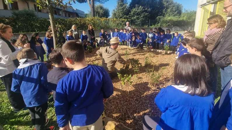 Crescere insieme alle piante. E’ nato il bosco didattico nella scuola "Ilaria Alpi"